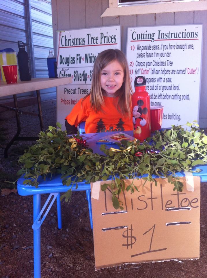 McGee Christmas Tree Farm: farm photo