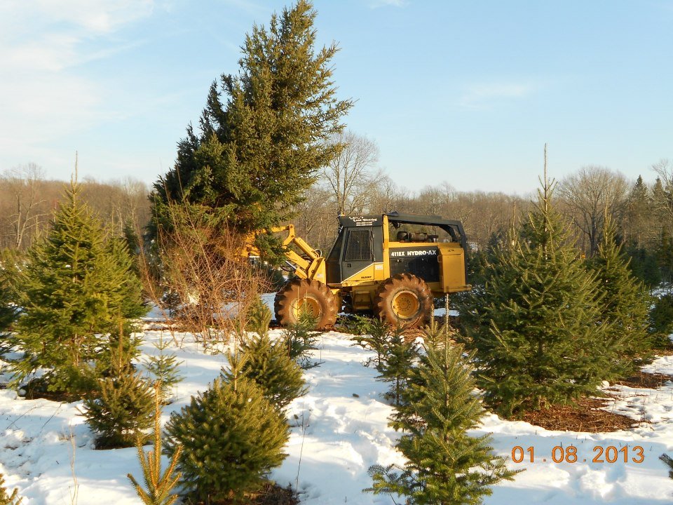 Miller Tree Farm: farm photo