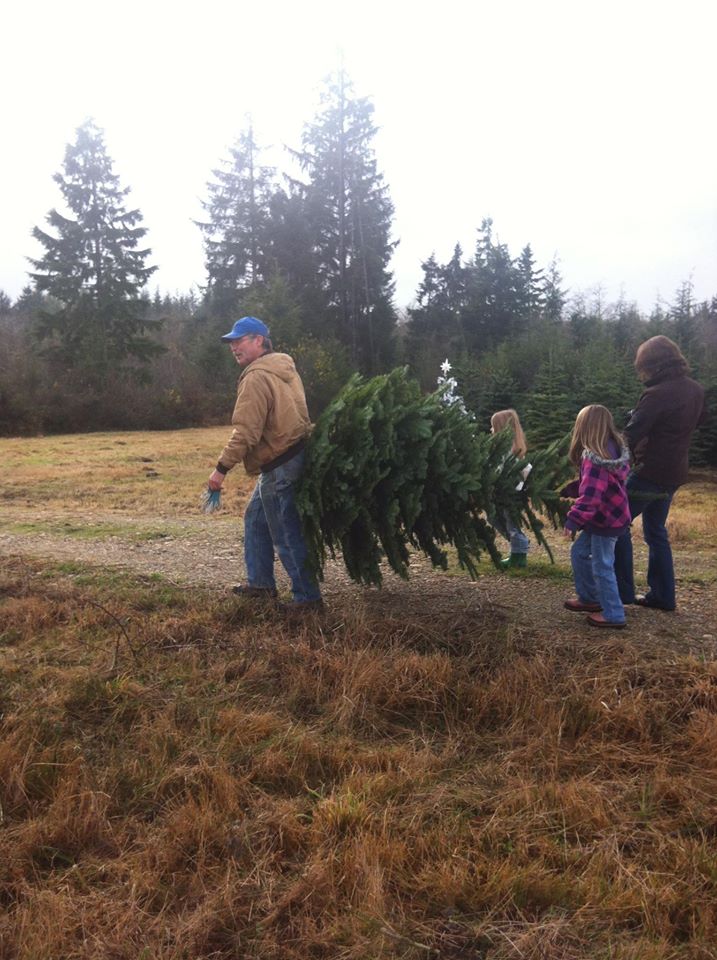 KC's Christmas Tree Farm: farm photo