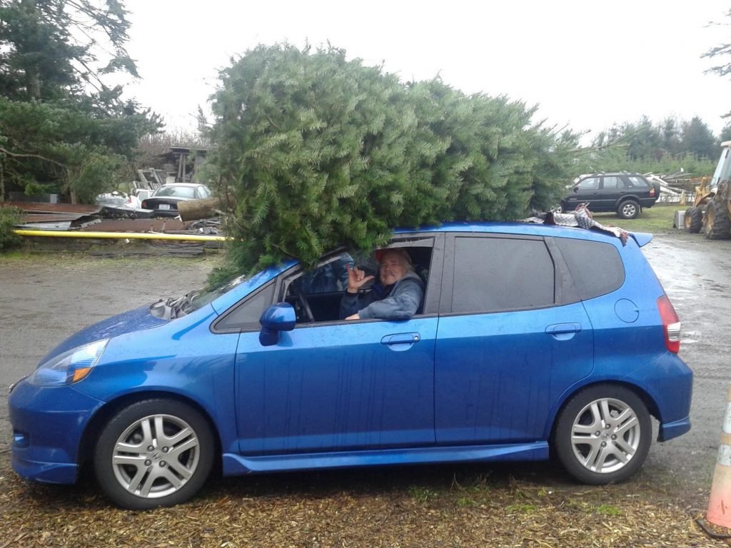 Pfaff's U-cut Christmas Trees: farm photo