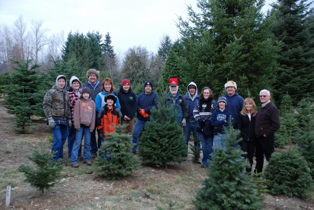 Wilson Hill Tree Farm & Nursery: farm photo