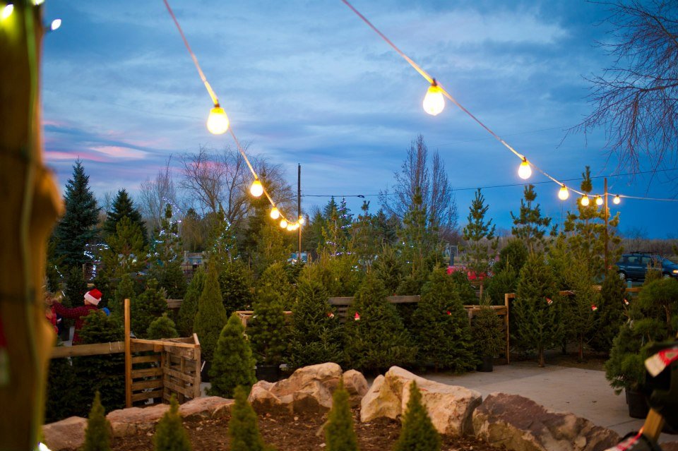 CreekSide Tree Nursery: farm photo
