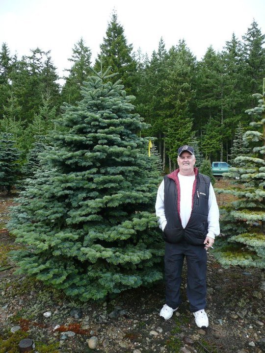 Santa's Christmas Tree's: farm photo