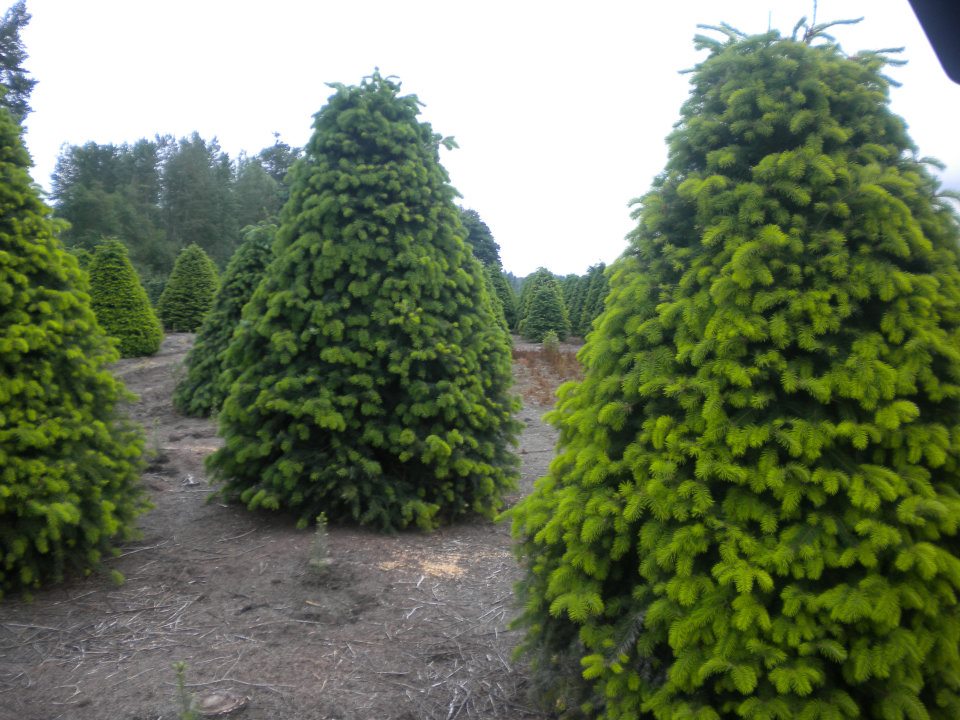 Schilter Family Farm: farm photo