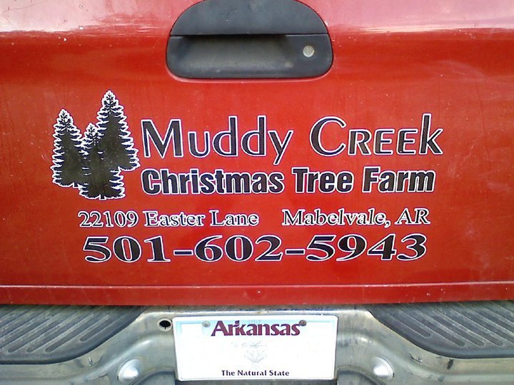 Mountain View Christmas Tree Farm: farm photo
