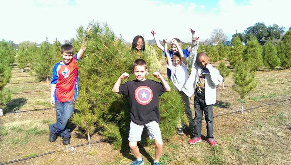Pipe Creek Christmas Tree Farm: farm photo