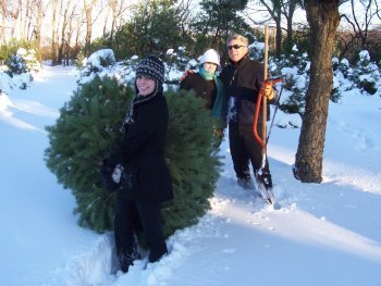 Belly Acres Christmas Tree Farm: farm photo