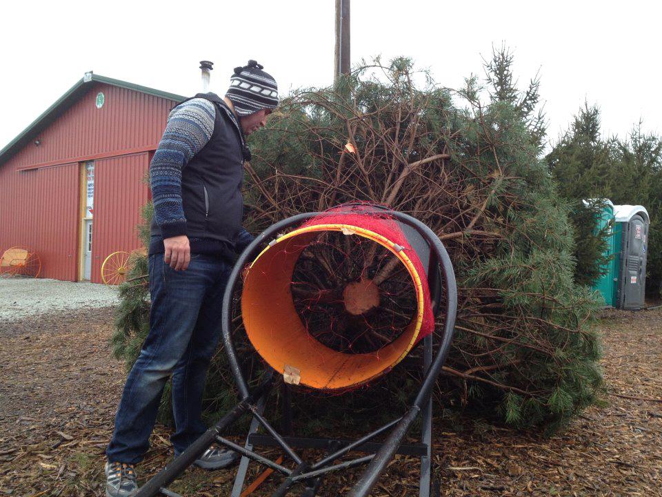Bengtson Christmas Tree Farm: farm photo