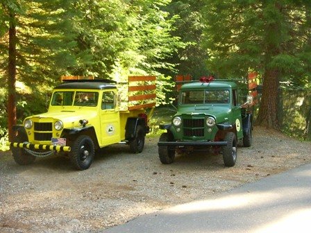 Little Bear Tree Farm: farm photo