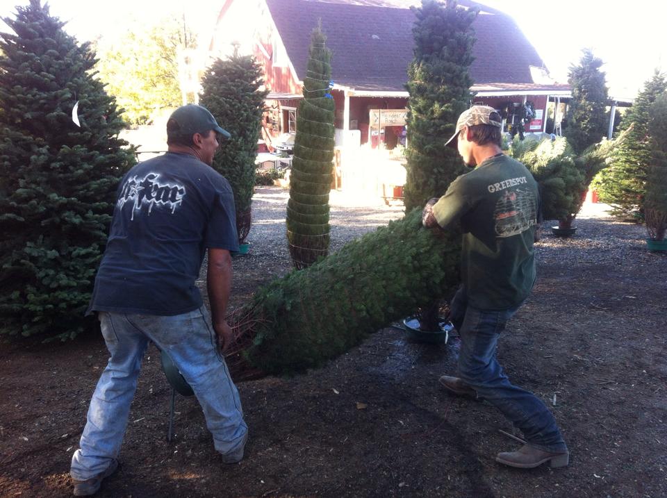 Greenspot Farms: farm photo