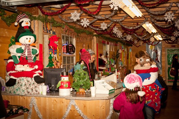 Coates Christmas Trees: farm photo
