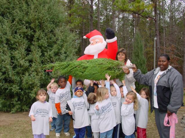 Wadsworth Christmas Tree Farm: farm photo