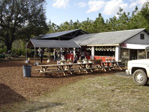Ergle Christmas Tree Farm: farm photo