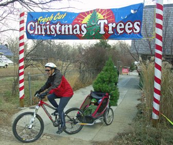 Your Neighborhood Christmas Tree Farm: farm photo
