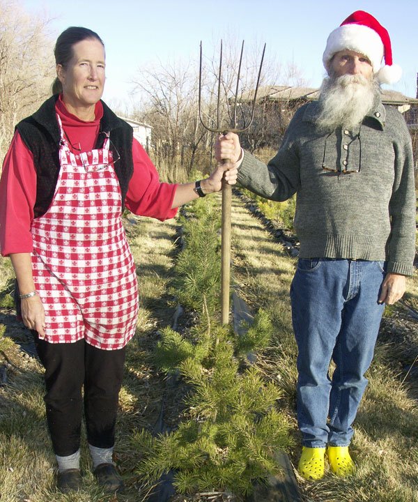 Your Neighborhood Christmas Tree Farm: farm photo