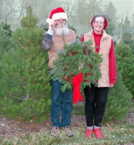 Your Neighborhood Christmas Tree Farm: farm photo