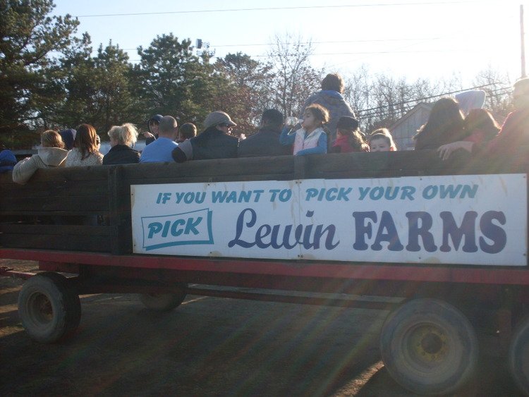 Baiting Hollow Nursery: farm photo