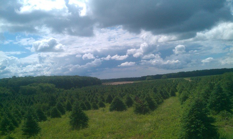 Baiting Hollow Nursery: farm photo