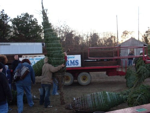 Baiting Hollow Nursery: farm photo