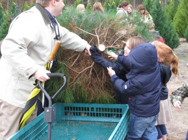 Wadsworth Christmas Tree Farm: farm photo
