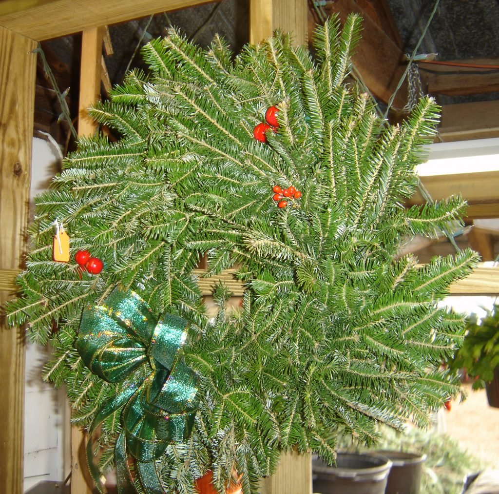Ergle Christmas Tree Farm: farm photo